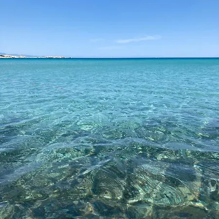 Ginevra Surfhouse Palau