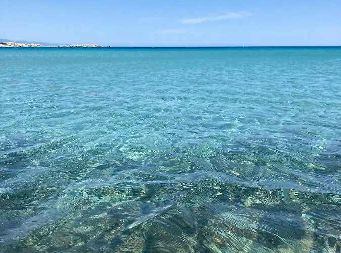 Ginevra Surfhouse Palau